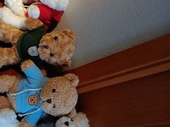-巴巴新生活·四合院会议·疗愈团建.品牌活动