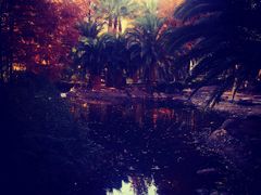 -苏州河梦清园环保主题公园