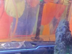 -西西里轰趴日租聚会别墅·团建拓展
