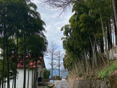 -莫干山风景区
