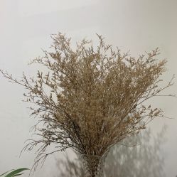 -M+hair salon专业造型沙龙