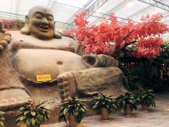 -滕头生态酒店(奉化店)