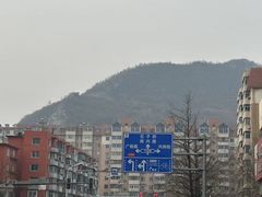 -秦氏环球炸鸡(解放北路店)