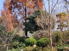-黄陂区野村谷景区