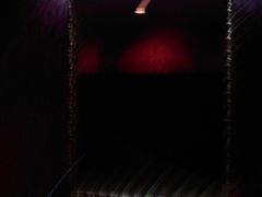 IMAGE_542-老洋房花园饭店(绍兴路店)