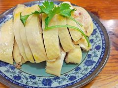 -九斤黄三黄鸡专卖店