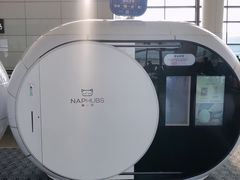 -郑州新郑国际机场-T2航站楼
