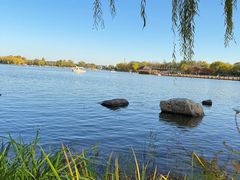-石家庄市植物园
