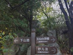 -阳台山自然风景区