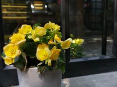 -啊噗吐呦现场烘焙(麦凯乐店)