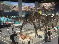 -国家自然博物馆