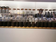 -喜茶(迪士尼小镇DP店)