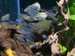 -太平洋海底世界