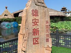 -白洋淀景区