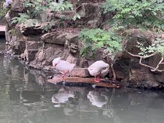 -兰亭风景区