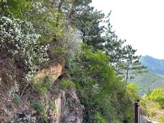 -白羊峪长城旅游区