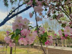 -东升八家郊野公园