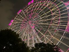 -南昌之星摩天轮