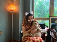 -咖法森林·咖啡  酒吧(天河店)