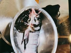 -小团圆灶台鱼·百城头牌菜(千岛湖店)