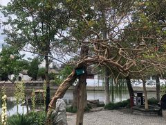 -水绘园