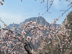 -圣莲山风景区
