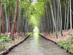 -苏州太湖湖滨国家湿地公园