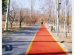 -大兴滨河森林公园