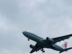 -空港花田景区