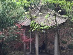 -峙山公园