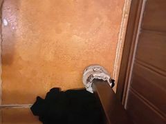 -西村居酒屋