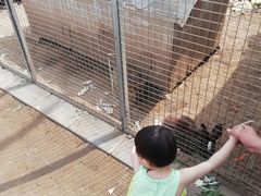 -河北村民俗体验园
