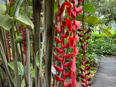 -植物园哈利亚餐厅