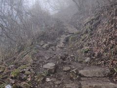 -九峰山