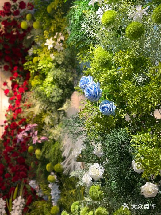 长春青怡坊鲜花批发(青怡坊花鸟市场店)图片