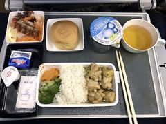 -新加坡航空公司(ION)