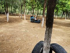 -永定河休闲森林公园