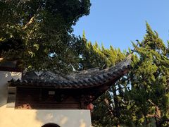-秋霞圃