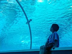 -北戴河圣蓝海洋公园