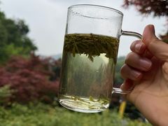 -十八棵（老龙井）御茶园(老龙井店)