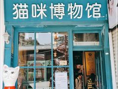 -猫咪博物馆(顶澳仔猫街店)