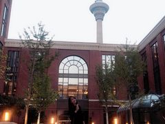 -康莱德酒店·美庭自助餐厅