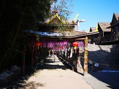 -呀路古热带植物园