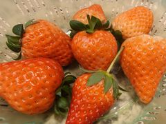 -禾斗海鲜自助(市南银座店)