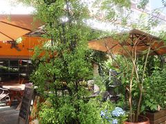 -缘生态云南菜·野生菌庭院餐厅(华侨城店)