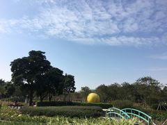 -顺峰山公园