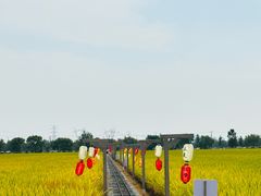 -嘉北郊野公园