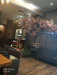 -红人馆造型世爵国际