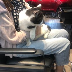 -塞巴斯汀SEBASTIAN专业美发店