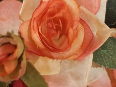 -菊上料理(蜀山银泰百货店)